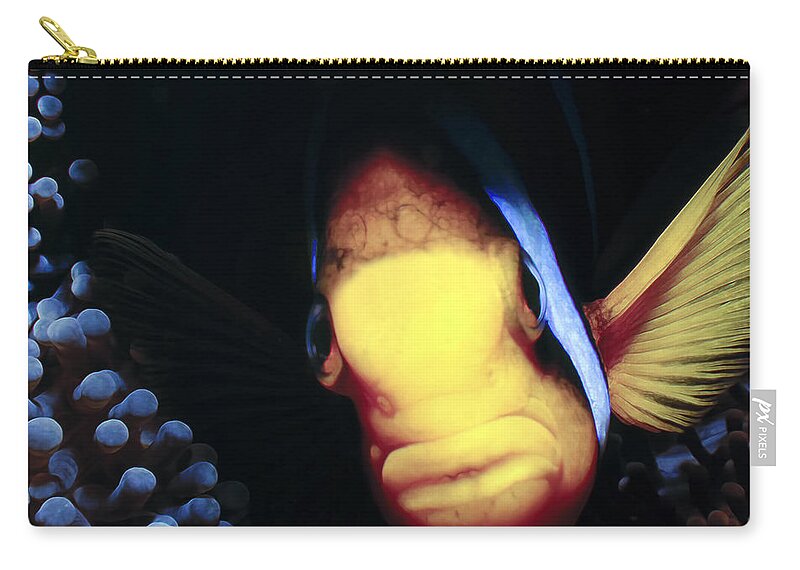 Micronesia Zip Pouch featuring the photograph Clownfish 8 by Dawn Eshelman