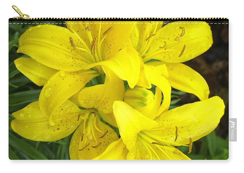 Nature Zip Pouch featuring the photograph Cluster of Yellow Lilly Flowers in the Garden by Amy McDaniel