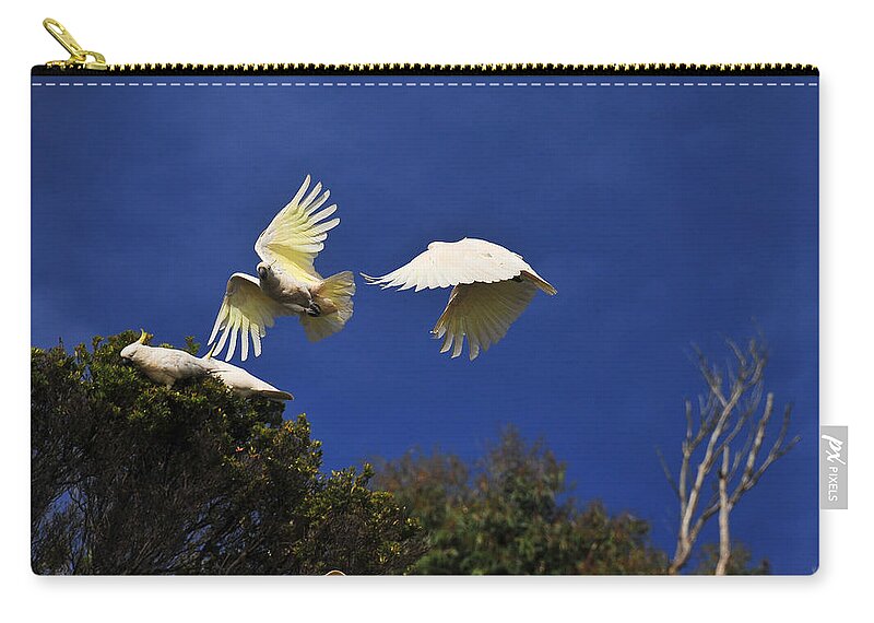 Acrylic Print Zip Pouch featuring the photograph Cockatoos On the Wing by Harry Spitz