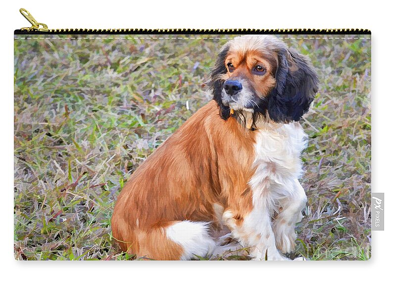 Purebred Zip Pouch featuring the photograph Cocker Spaniel - Digital Effect - My Little Bear by Debbie Portwood