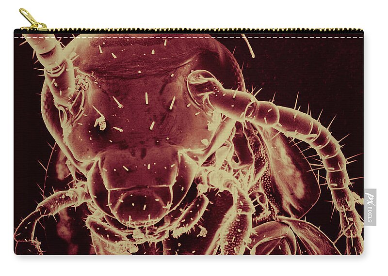 Arthropod Zip Pouch featuring the photograph Cockroach Face, Sem by P. Bagavandoss