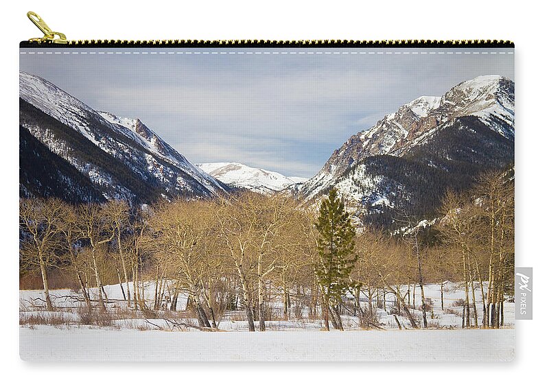 Trees Zip Pouch featuring the photograph Colorado Rocky Mountain Winter Horseshoe Park by James BO Insogna