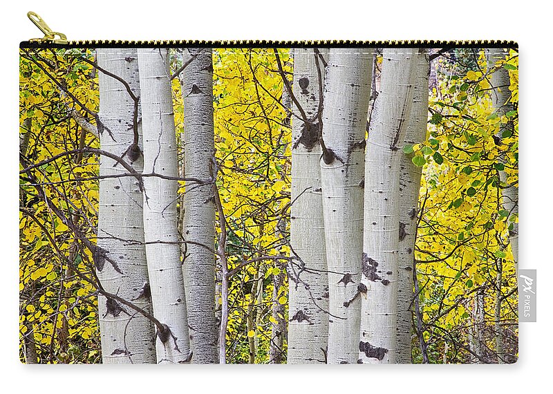 Aspen Zip Pouch featuring the photograph Colorful Autumn Aspen Tree Colonies by James BO Insogna