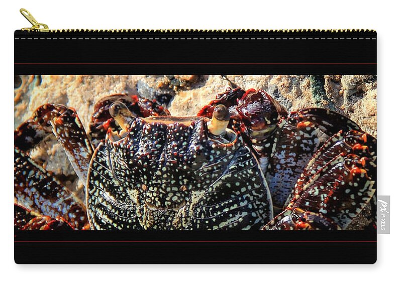 Crab Canvas Print Zip Pouch featuring the photograph Colorful Crab by Lucy VanSwearingen