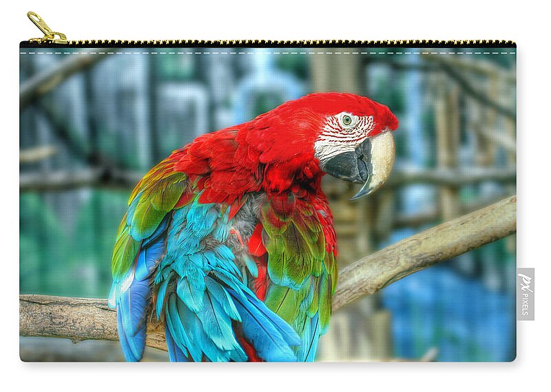 Parrot Zip Pouch featuring the photograph Colorful Feathers by Jackson Pearson