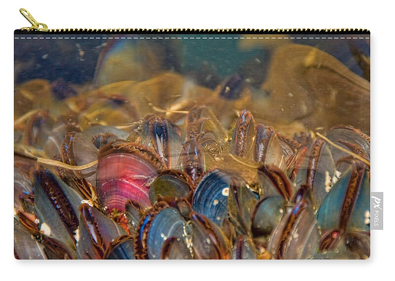 Mussels Zip Pouch featuring the photograph Colorful Mussel Shells by Peggy Collins