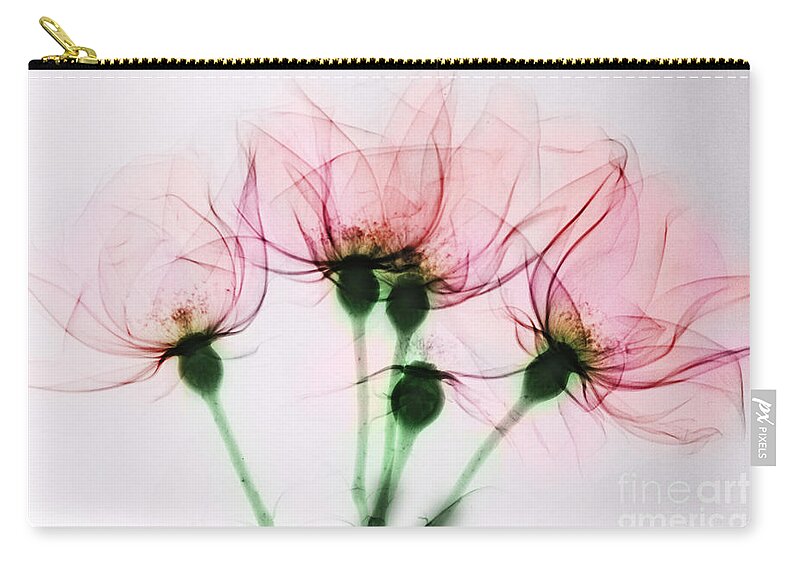 Rose Zip Pouch featuring the photograph Colorized X-ray Of Roses by Scott Camazine