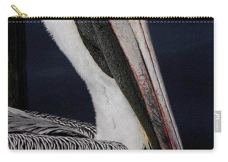 Pelican Carry-all Pouch featuring the photograph Colors of a Pelican by Quinn Sedam