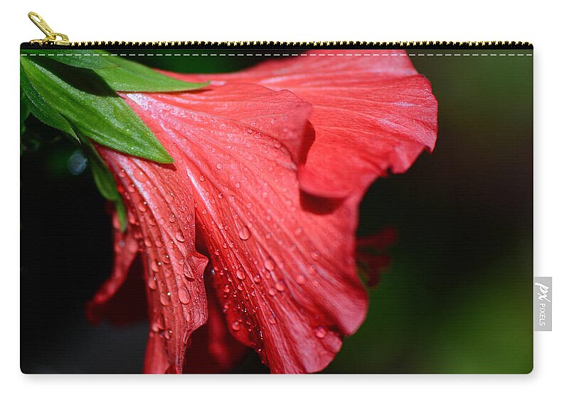 Red Hibiscus Zip Pouch featuring the photograph Colors of Love. Red Hibiscus Flower by Connie Fox