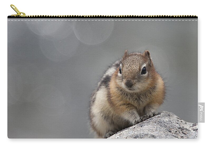 Wildlife Zip Pouch featuring the photograph Columbian Ground Squirrel by Tony Mills