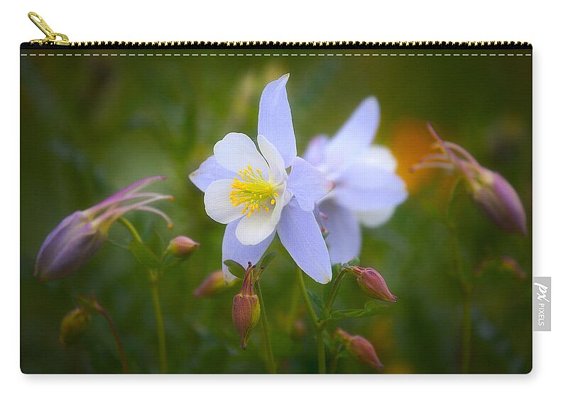 Columbine Zip Pouch featuring the photograph Columbine by Darren White