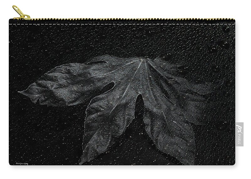 Plant Zip Pouch featuring the photograph Coming Forward by Randi Grace Nilsberg