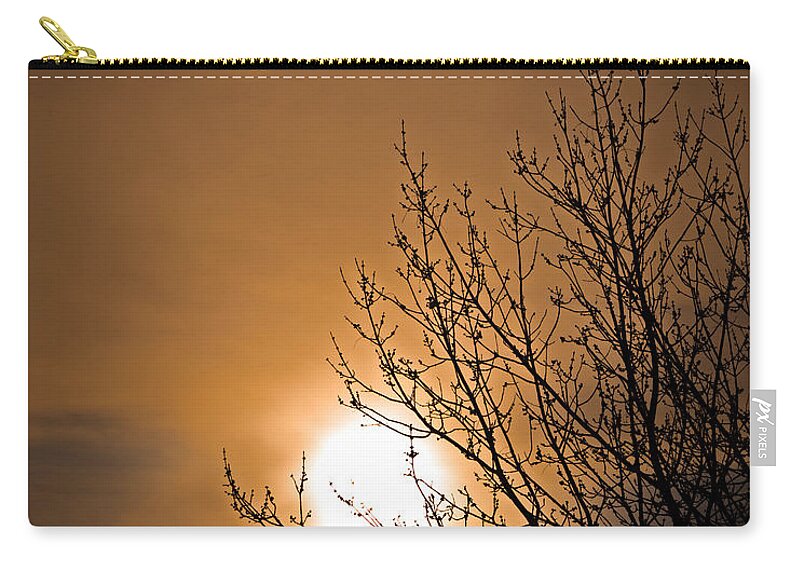 Geese Zip Pouch featuring the photograph Coming Home In The Spring by Bob Orsillo