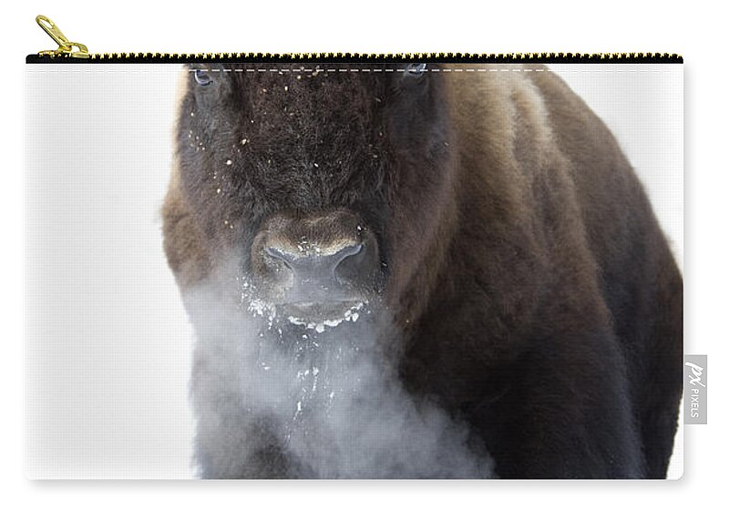 Bison Zip Pouch featuring the photograph Coming Through by Deby Dixon