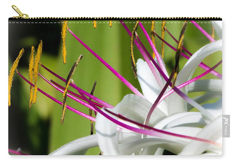 Lily Zip Pouch featuring the photograph Coming to Attention by Will Wagner