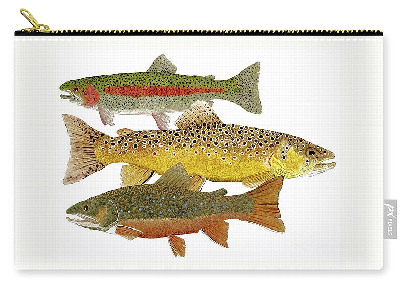 Trout Zip Pouch featuring the painting Common Trout Rainbow Brown and Brook by Thom Glace