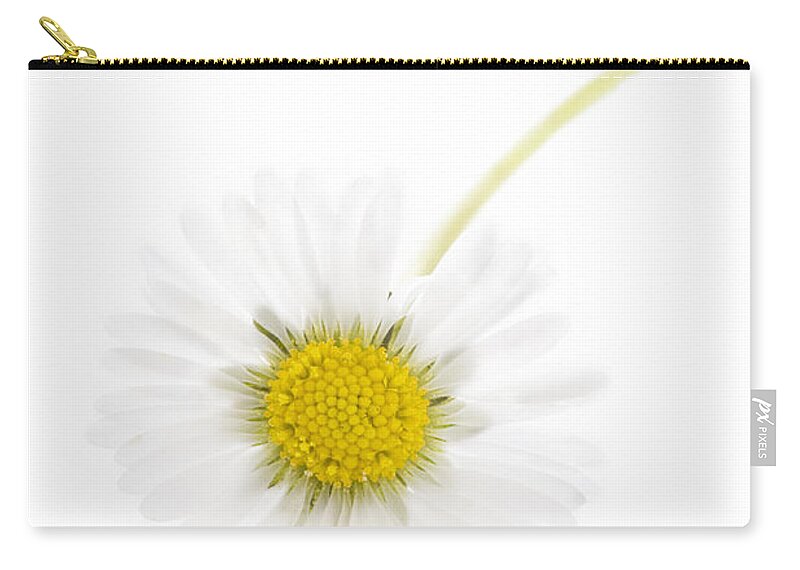 Daisy Zip Pouch featuring the photograph Common Wild Daisy by Lee Avison