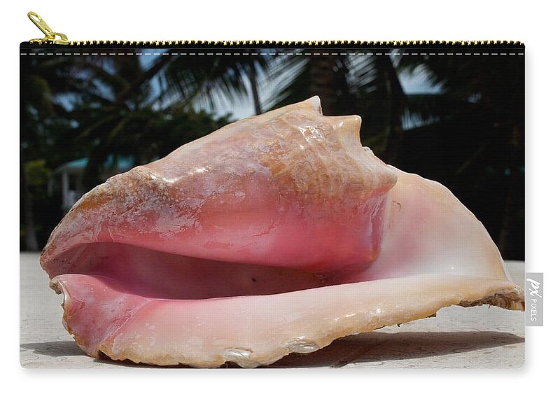Conch Shell Zip Pouch featuring the photograph Island Conch Shell by Kristina Deane