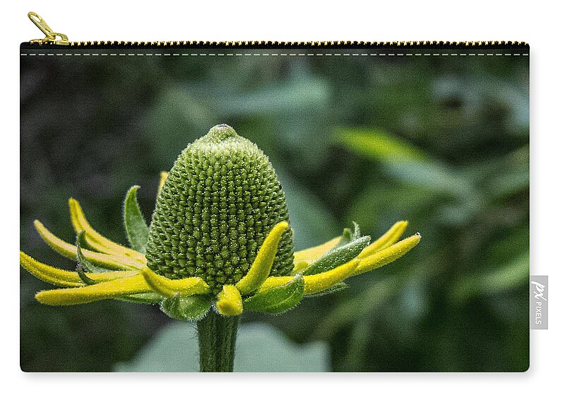Coneflower Zip Pouch featuring the photograph Coneflower by Susan Eileen Evans