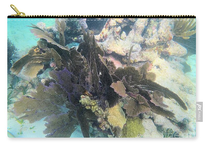 John Pennekamp State Park Zip Pouch featuring the photograph Coral Collage by Adam Jewell