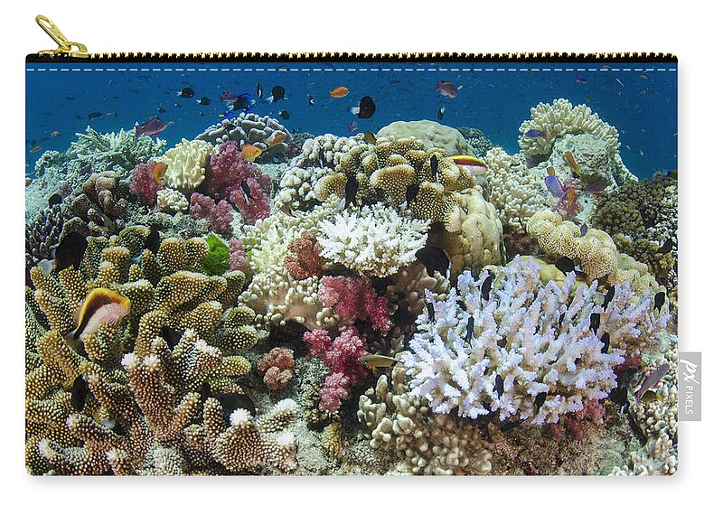 Pete Oxford Zip Pouch featuring the photograph Coral Reef Diversity Fiji by Pete Oxford