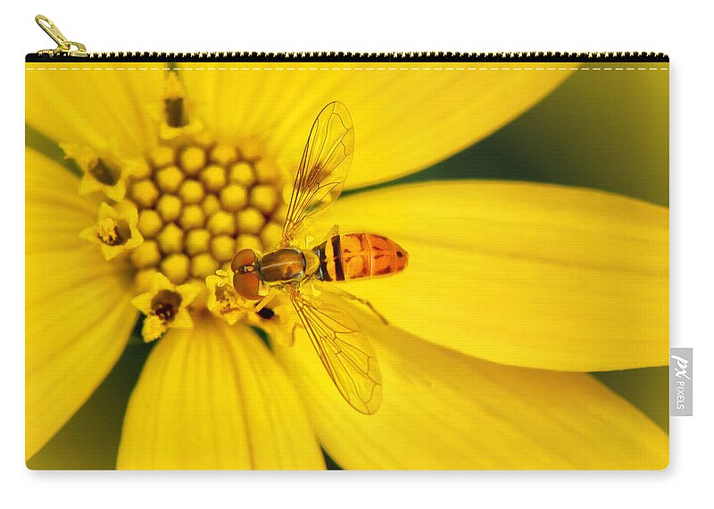 Coreopsis And Hoverfly Zip Pouch featuring the photograph Coreopsis and hoverfly by Carolyn Derstine