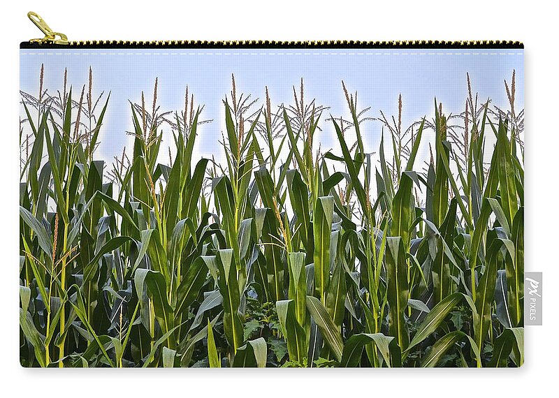 Corn Zip Pouch featuring the photograph Cornfield Close Up by Frozen in Time Fine Art Photography