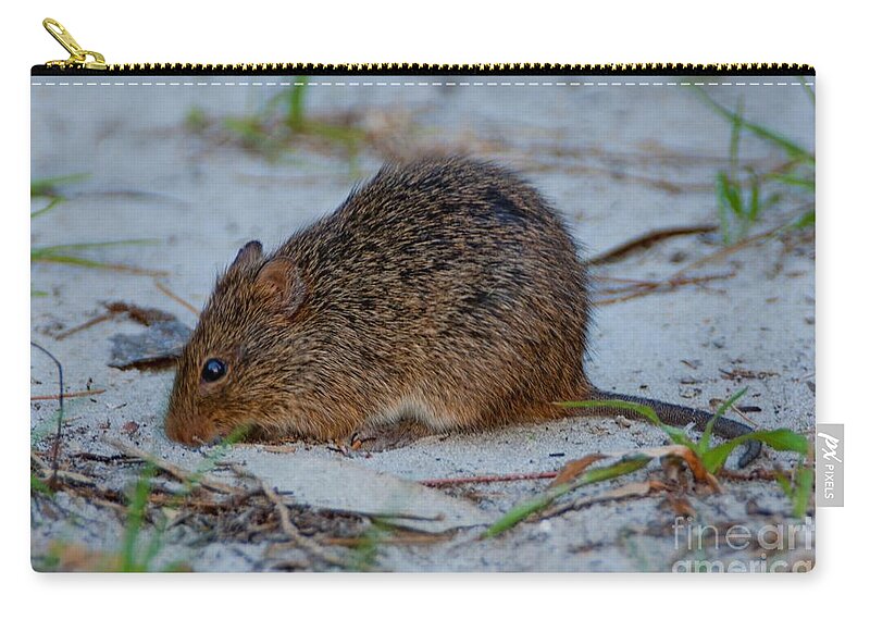 Cotton Rat Carry-all Pouch featuring the photograph Cotton Rat by John Harmon
