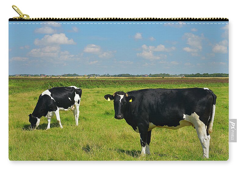 Grass Zip Pouch featuring the photograph Cows On Meadow by Raimund Linke