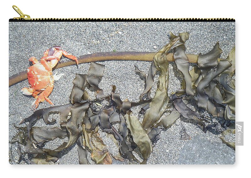 Crab Zip Pouch featuring the photograph Crab And Seaweed by Ingrid Van Amsterdam