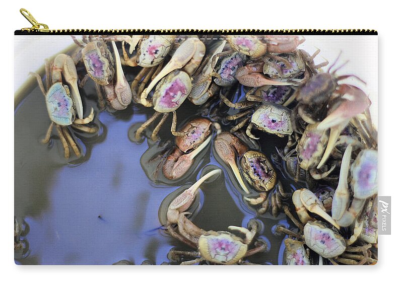 Crabs Zip Pouch featuring the photograph Crab Mentality by Tometta Pouncie