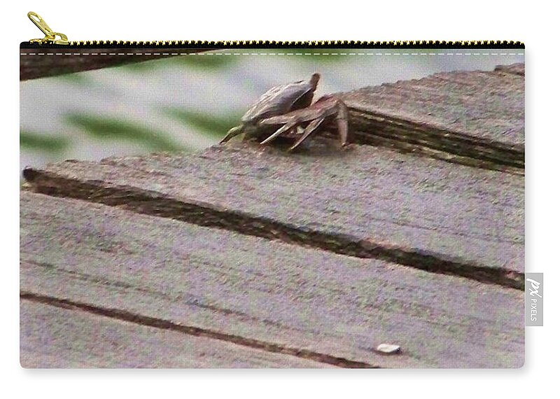 Crab Zip Pouch featuring the photograph Crab On The Pier by Chuck Hicks