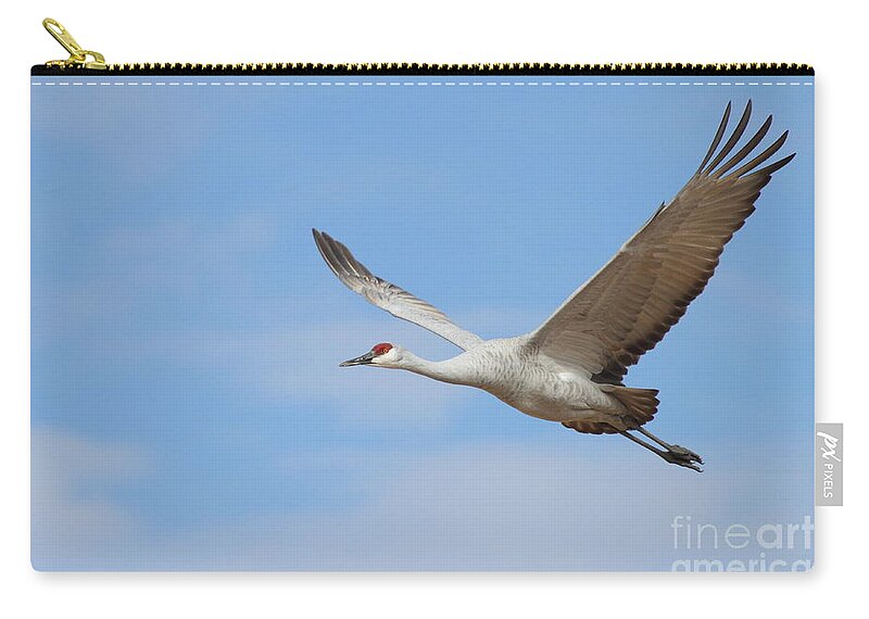 Crane Zip Pouch featuring the photograph Crane in the skies by Ruth Jolly