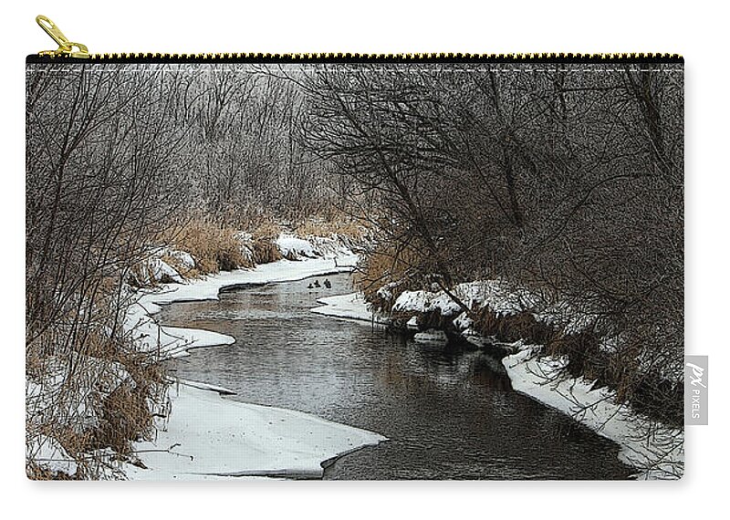  Zip Pouch featuring the photograph Creek Mood by Debbie Hart