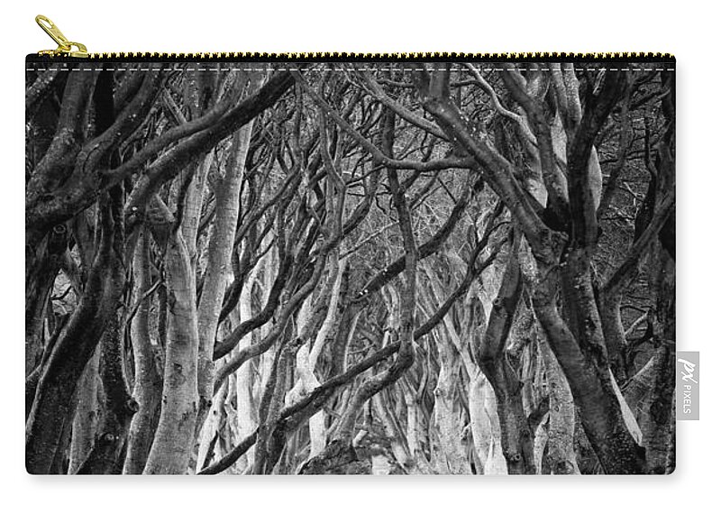 Dark Hedges Zip Pouch featuring the photograph Creepy Dark Hedges by Nigel R Bell