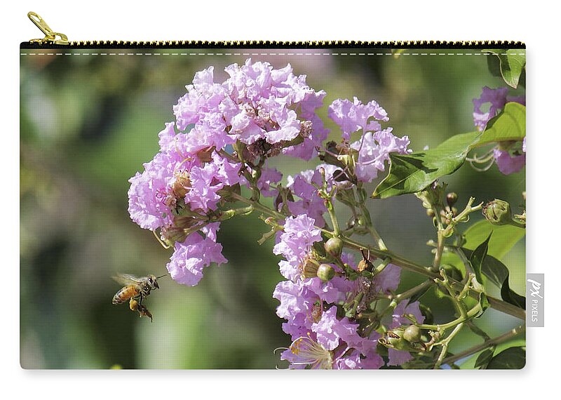 Crepe Zip Pouch featuring the photograph Crepe Myrtle and Honey Bee by Jason Politte