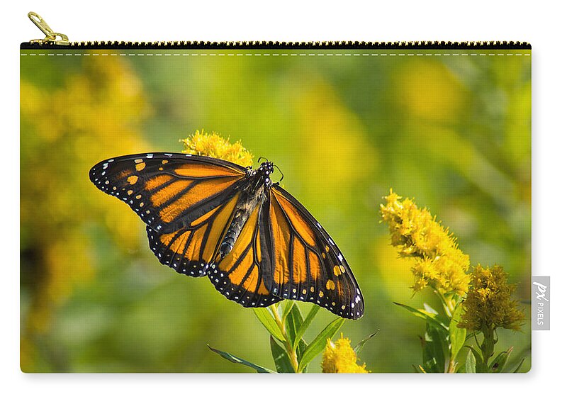 Macro Zip Pouch featuring the photograph Crepe Wings by Bill Pevlor