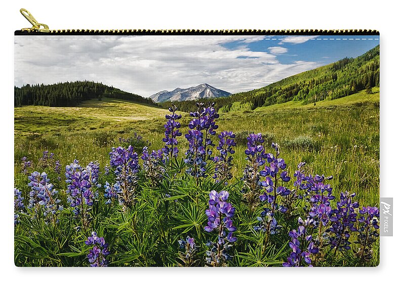 Crested Butte Zip Pouch featuring the photograph Crested Butte Lupines by Ronda Kimbrow