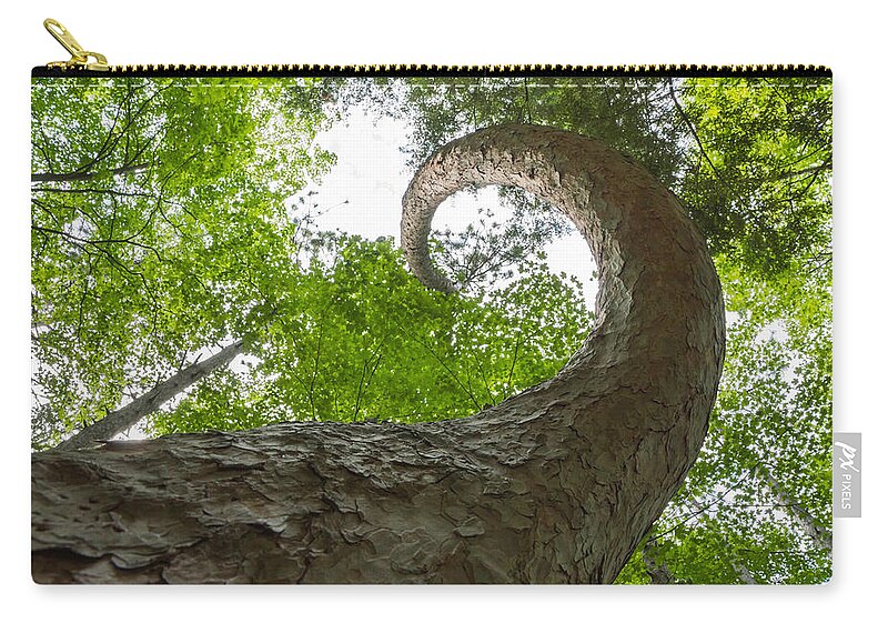 Bill Pevlor Zip Pouch featuring the photograph Crooked Spine Pine II by Bill Pevlor