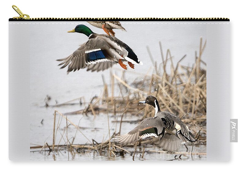 Ducks Zip Pouch featuring the photograph Crowded Flight Pattern by Michael Dawson