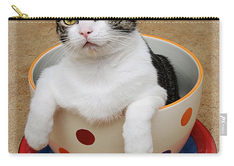 Cat Zip Pouch featuring the photograph Cup O Tilly 1 by Andee Design