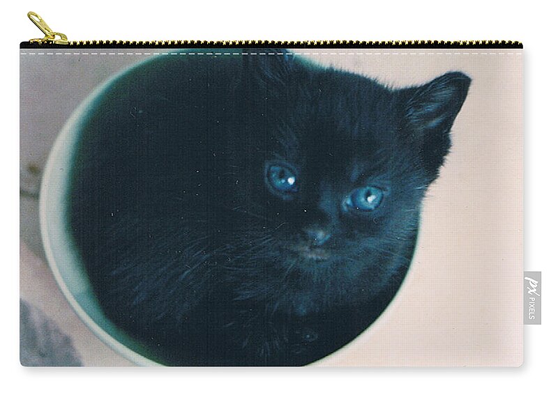 Cat Carry-all Pouch featuring the photograph Cup O'Kitty by Seth Weaver