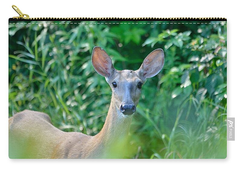 Outdoor Zip Pouch featuring the photograph Curious Doe by David Porteus
