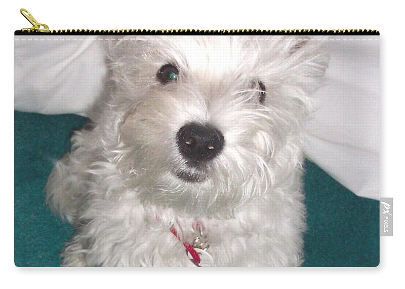 Dog Zip Pouch featuring the photograph Cute Westie Puppy by Charmaine Zoe