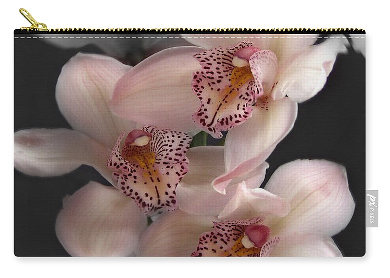 Flowers Zip Pouch featuring the photograph Cymbidium Orchid Pink II Still Life Flower Art Poster by Lily Malor