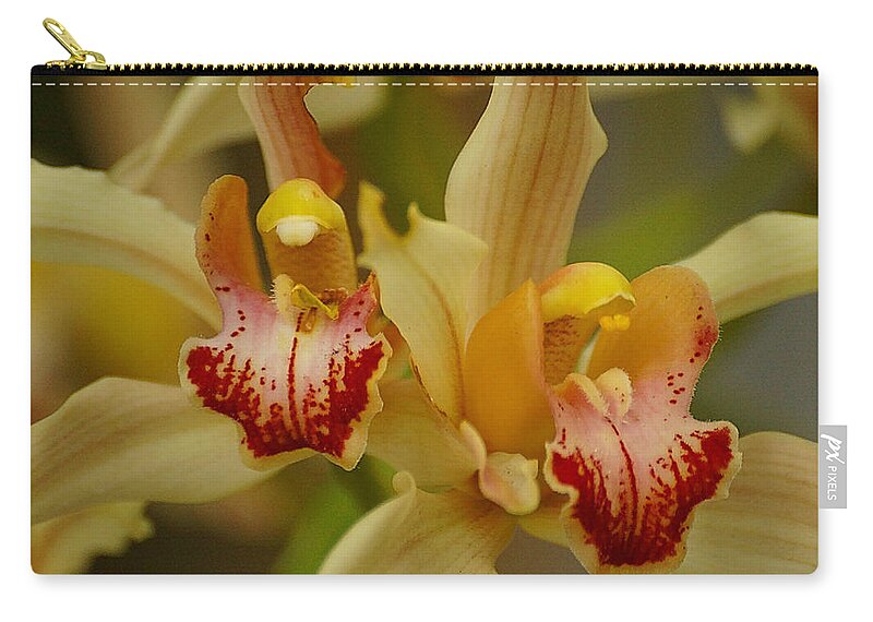 Orchid Zip Pouch featuring the photograph Cymbidium Twins by Blair Wainman