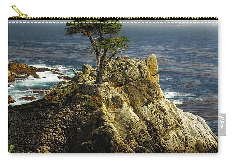 Cypress Tree Zip Pouch featuring the photograph Cypress by Donna Blackhall