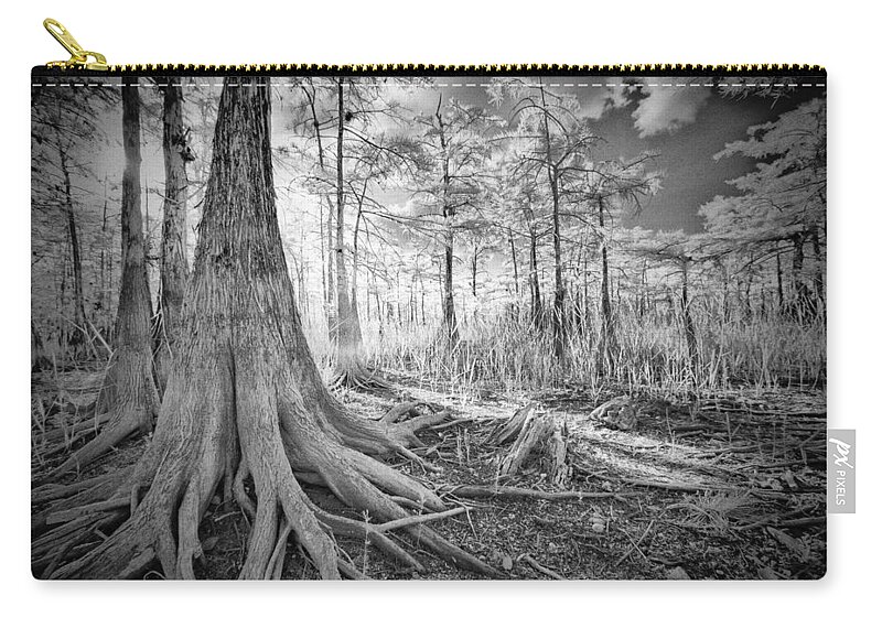 Big Zip Pouch featuring the photograph Cypress Roots In Big Cypress by Bradley R Youngberg