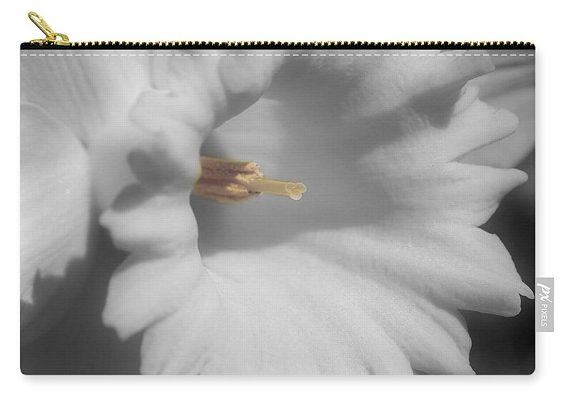 Daffodil Zip Pouch featuring the photograph Daffodil In Black And White by Smilin Eyes Treasures