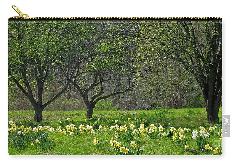 Spring Zip Pouch featuring the photograph Daffodil Meadow by Ann Horn